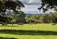 Additional image 17 of Lauriston at Barratt @ Almond Valley 1 Charolais Lane, Huntingtower, Perth PH1