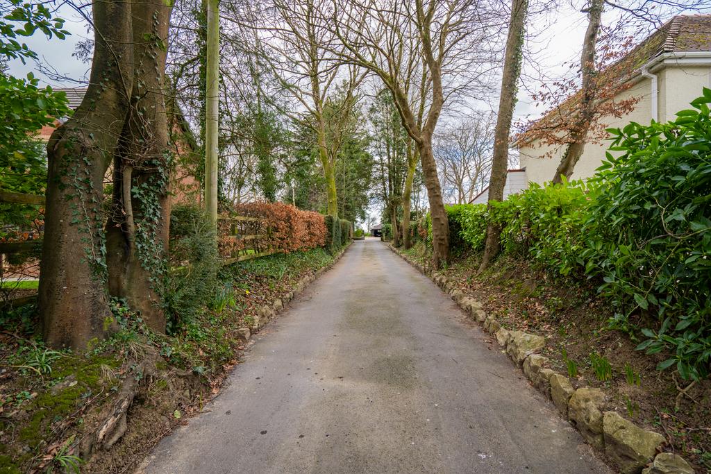 A page   Image (131 of 132).jpg