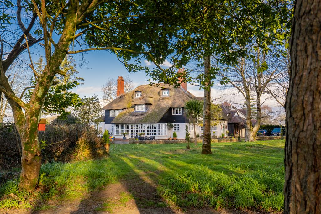 A page   Image (31 of 132).jpg