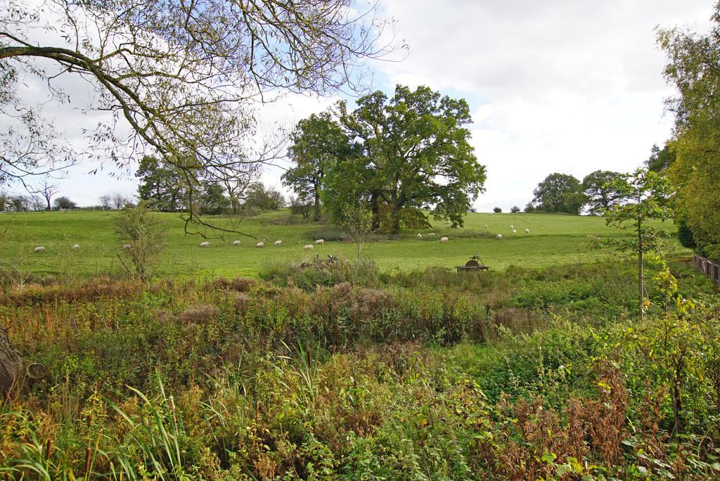 Views over Greenbelt Land