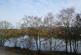 DSC04794a.jpg