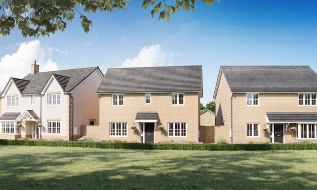 Dandara - On the Market -