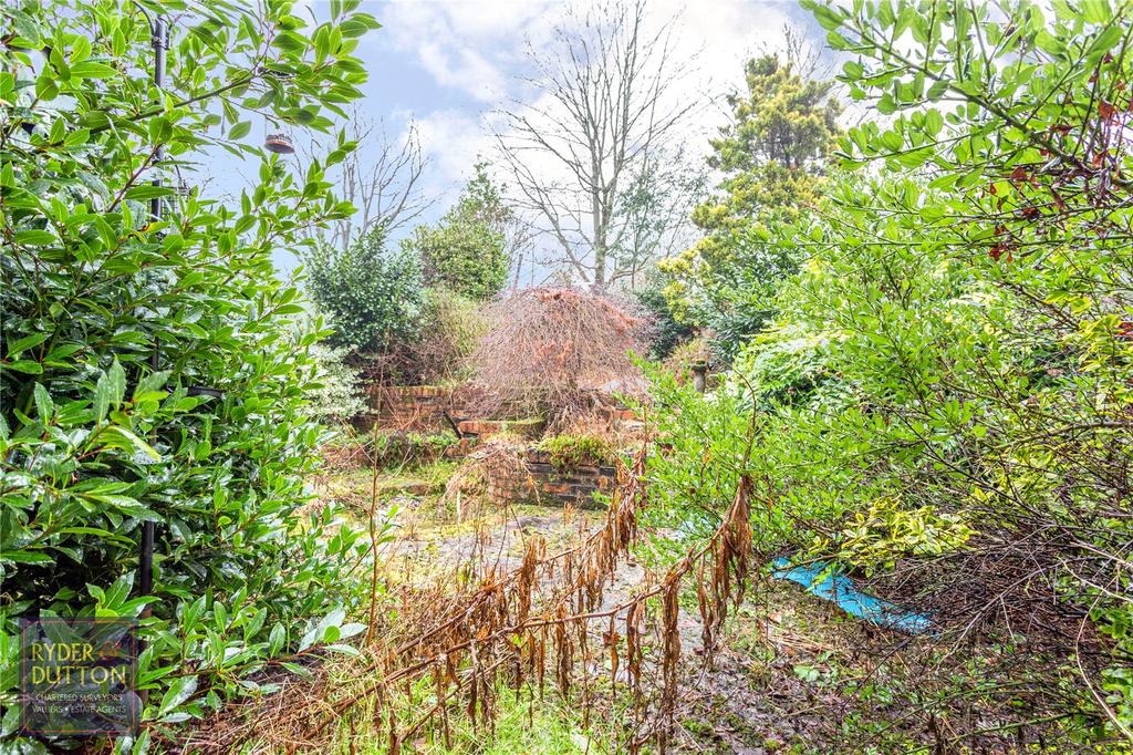 Garden 2