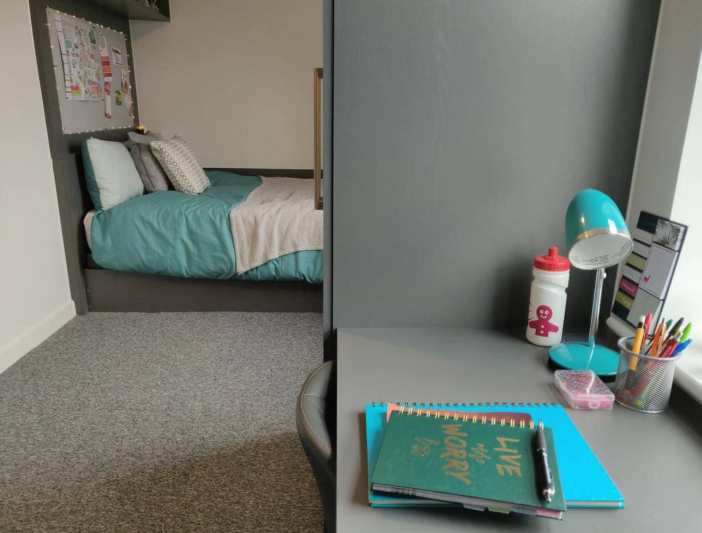 Bed and study area