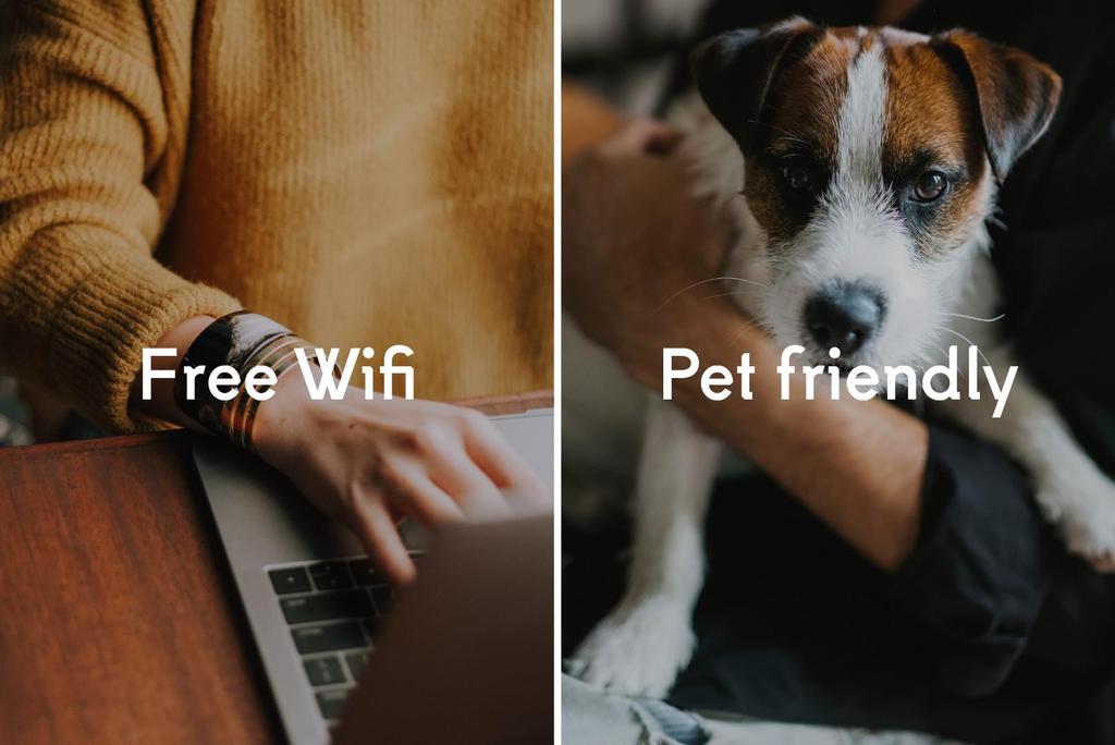 Very Important Pets: