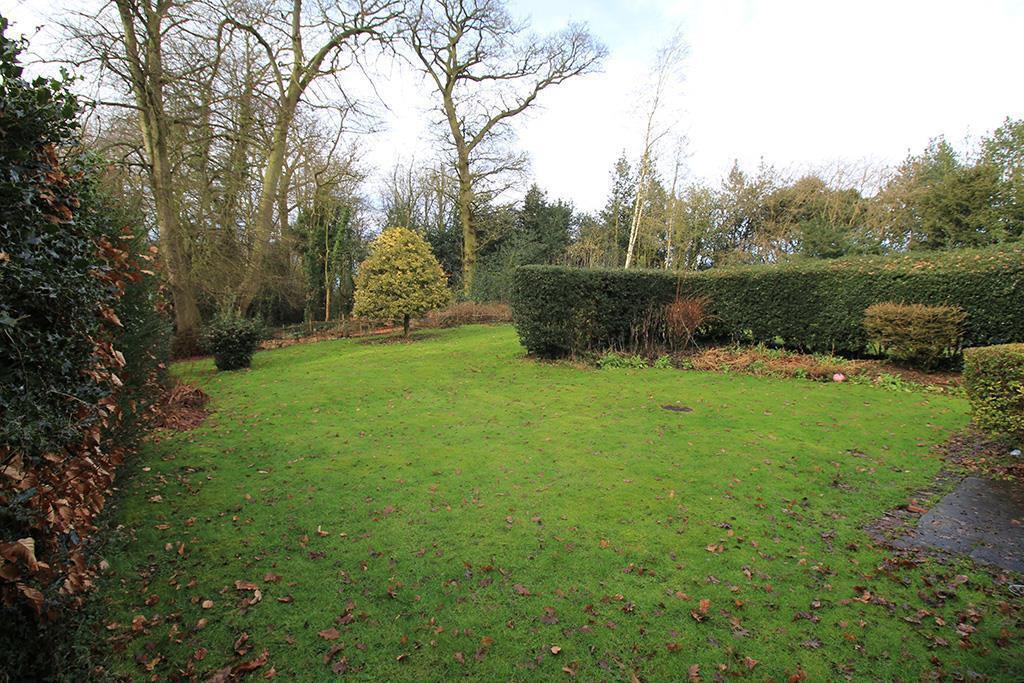 Garden Area