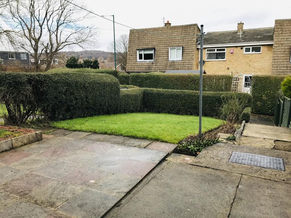 Back Garden