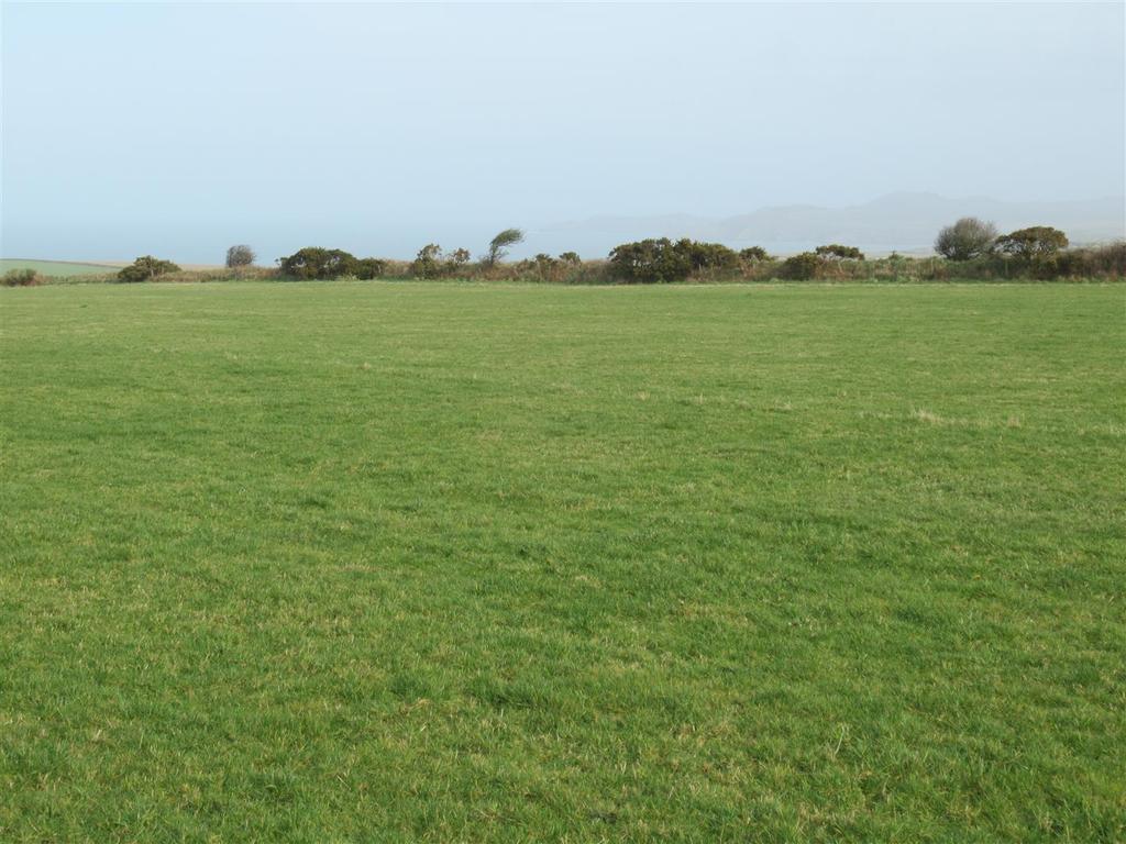 Img 9308.jpg