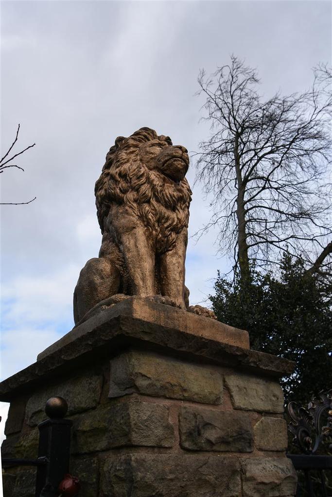 DSC 4532.jpg