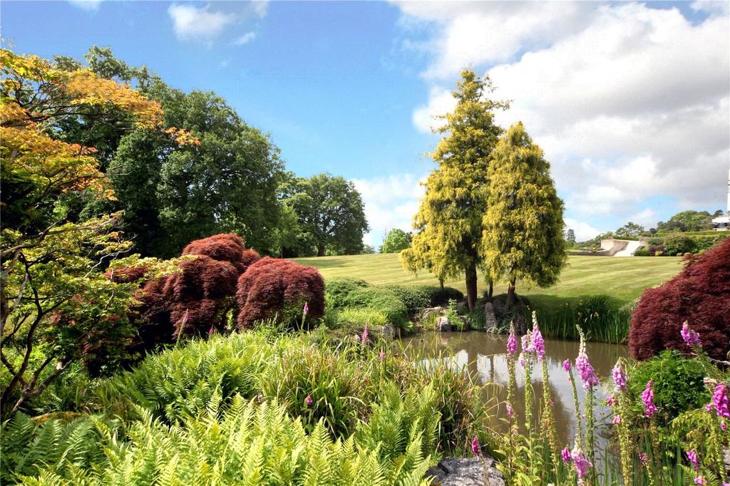 Grounds
