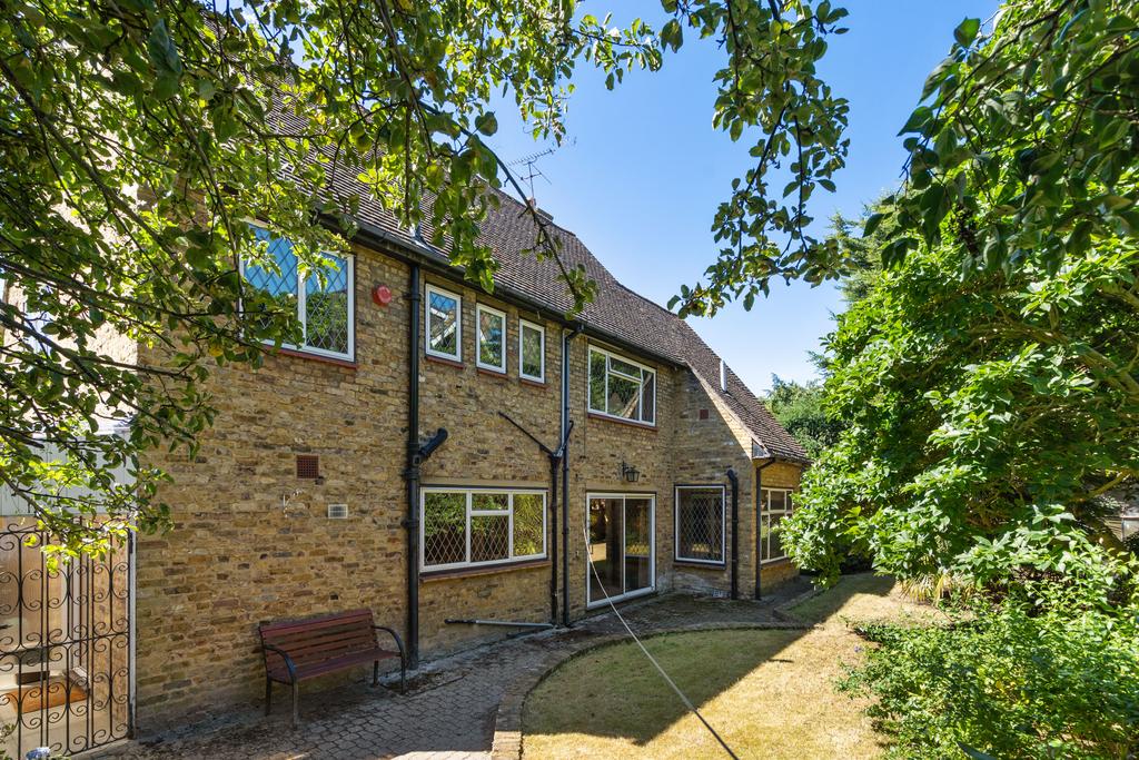 17242237.jpg