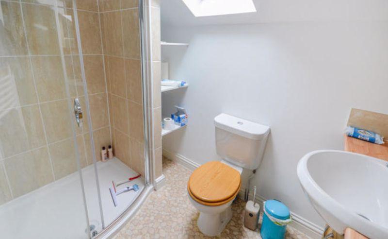 Annexe Shower Room