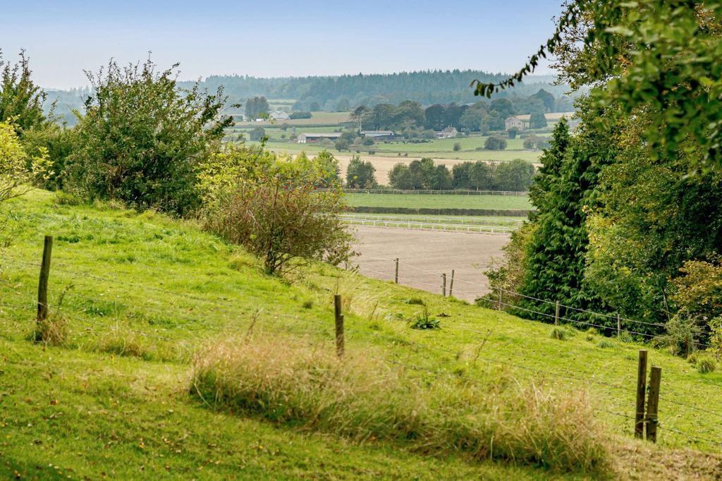 Countryside Views