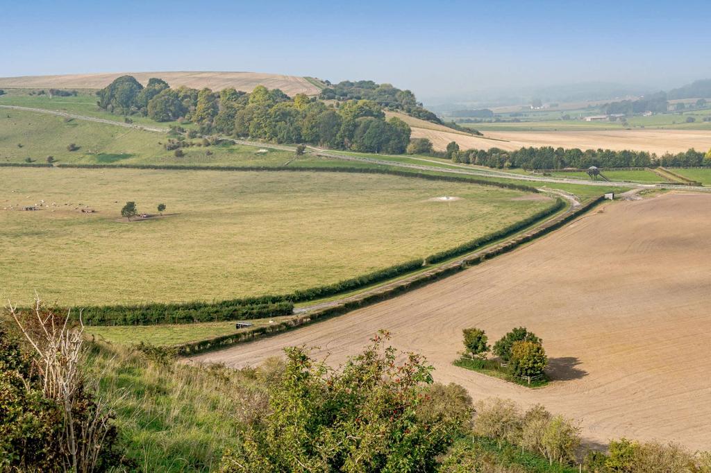 Countryside Views