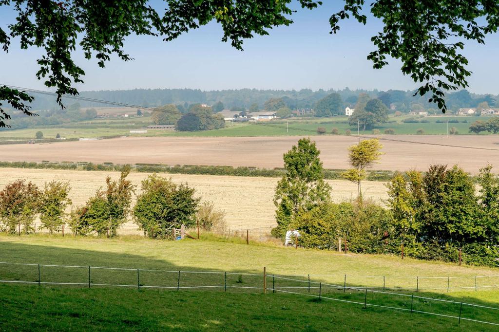 Countryside Views