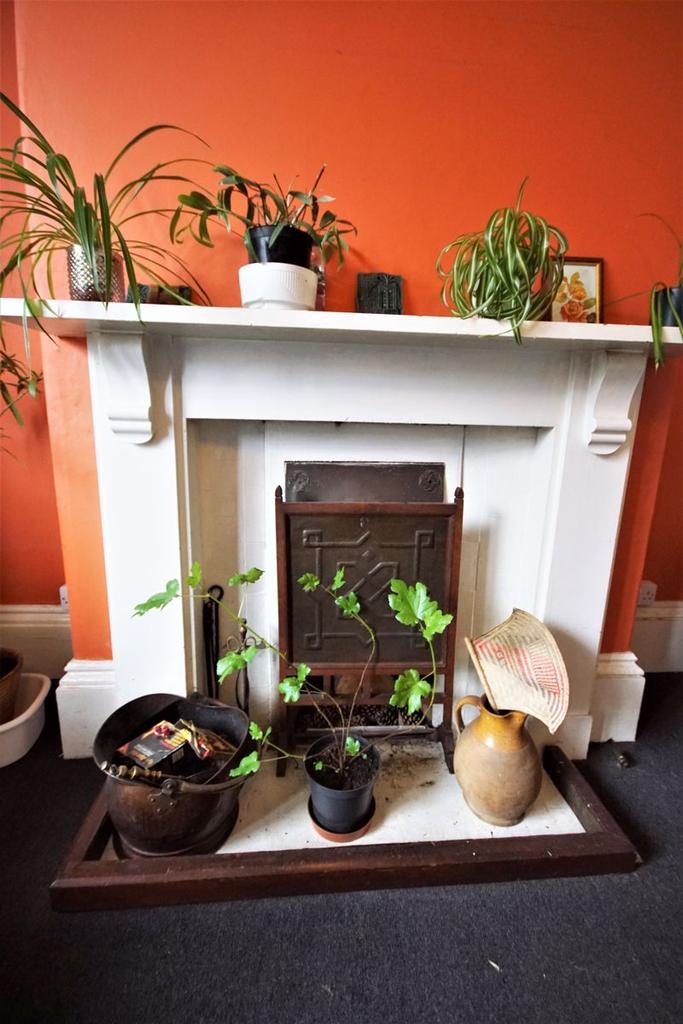 Feature Fireplace