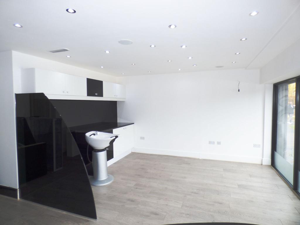 Main Salon