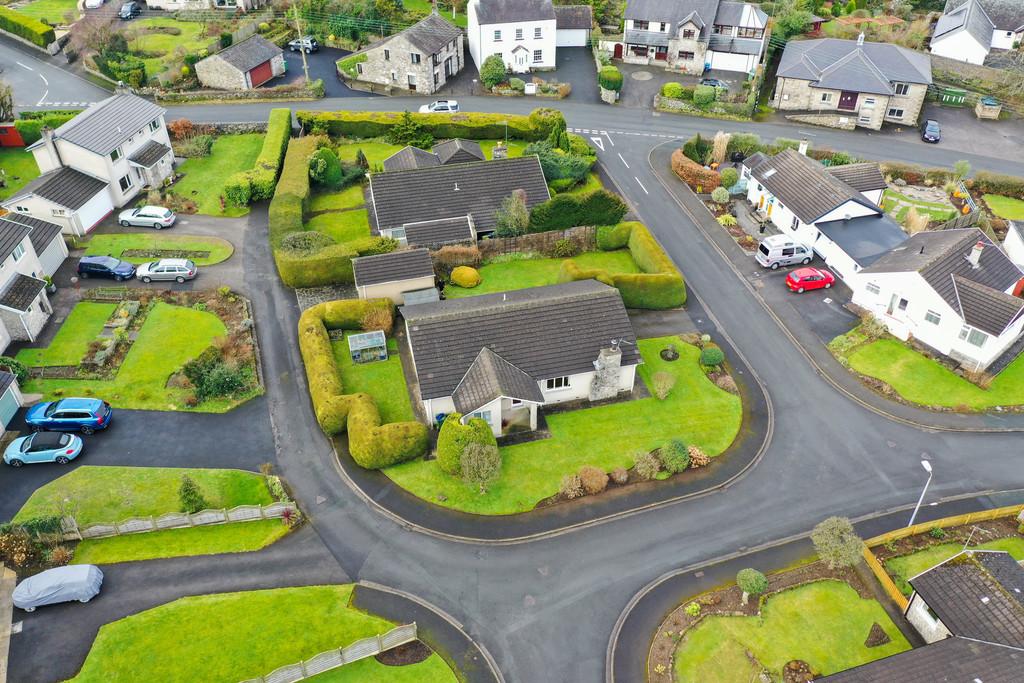 Plot View