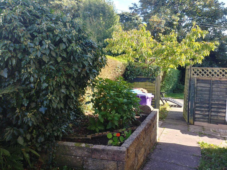 Side Area