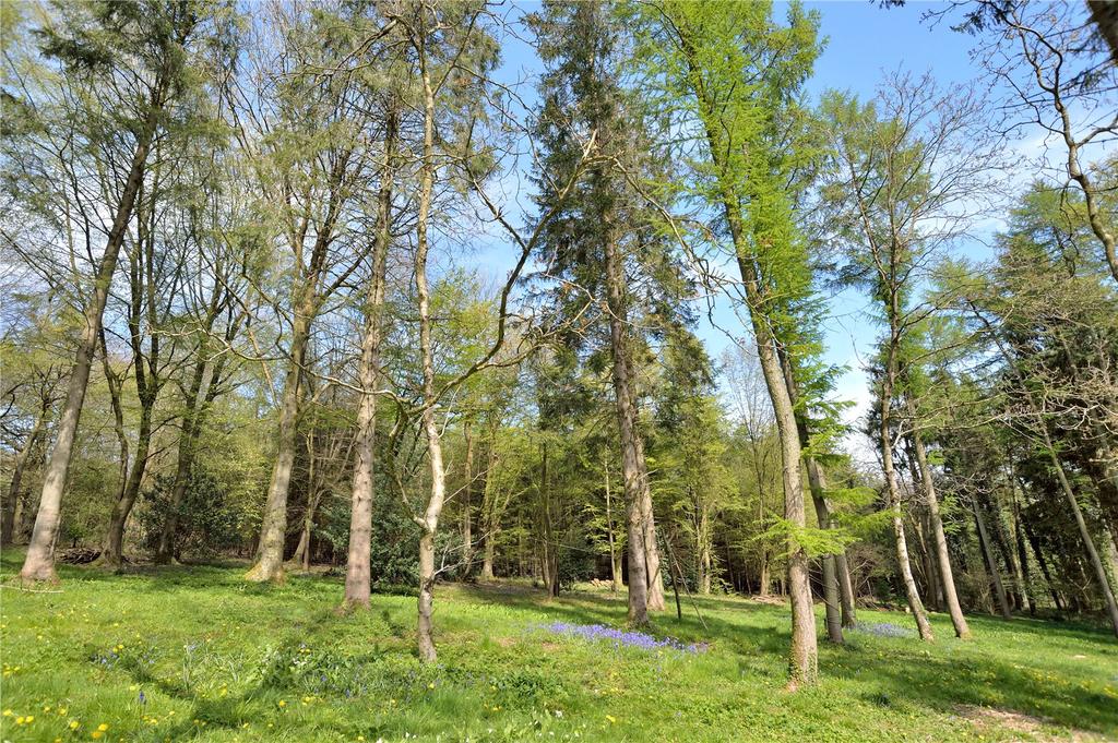 Woodland