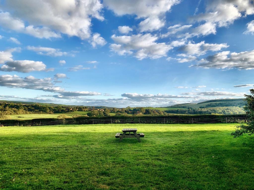 View S From Garden