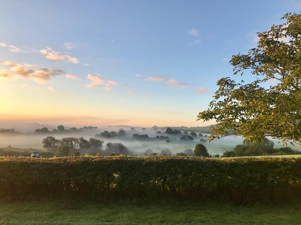 View From House