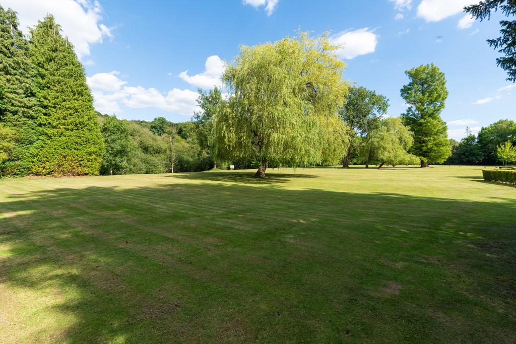 Grounds