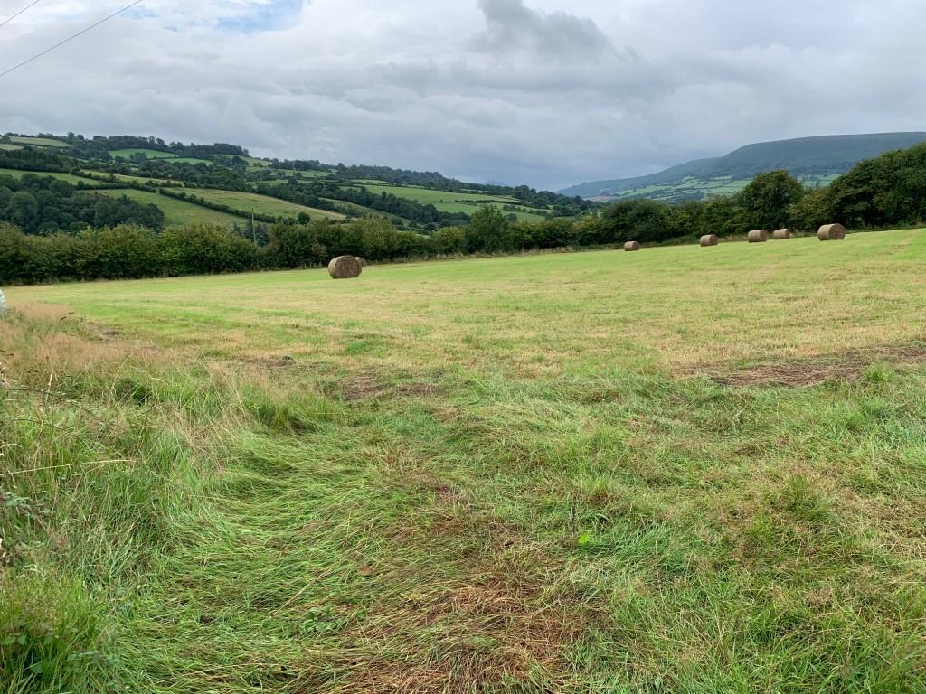Longtown, Herefordshire HR2 Farm land for sale £130,000