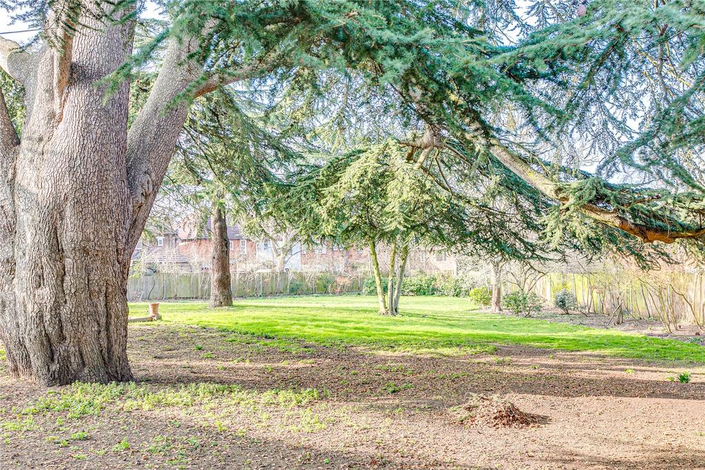 Grounds