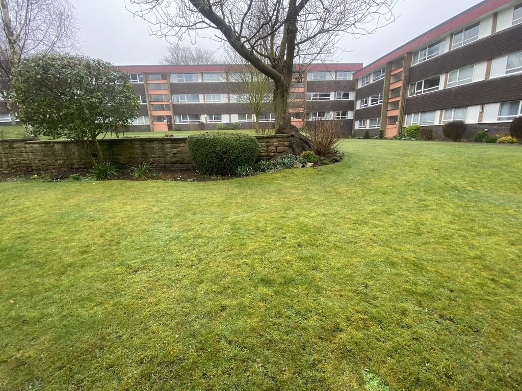 Communal Garden