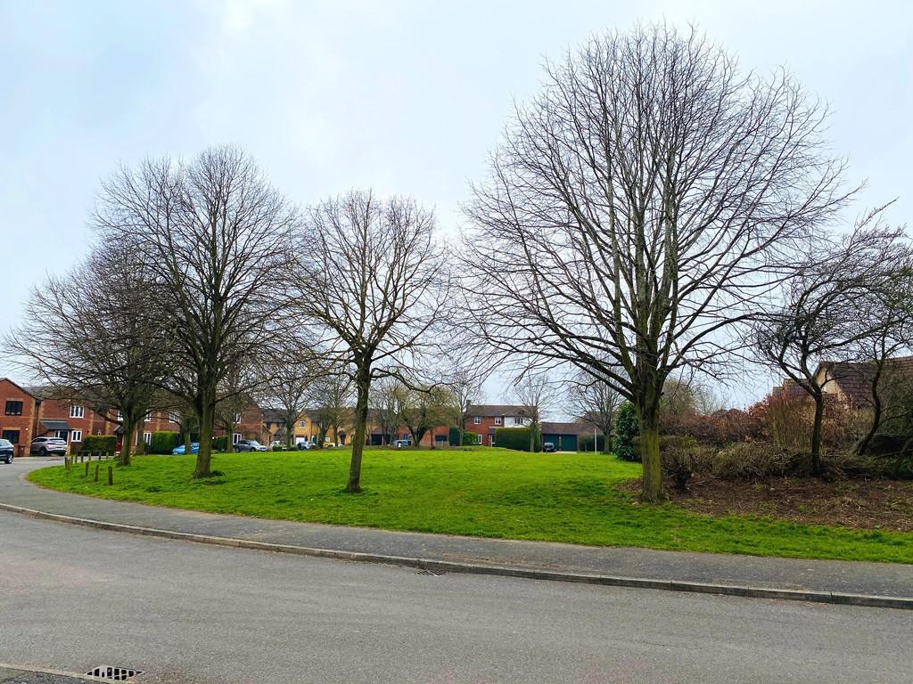 Green Area Close To Bungalow