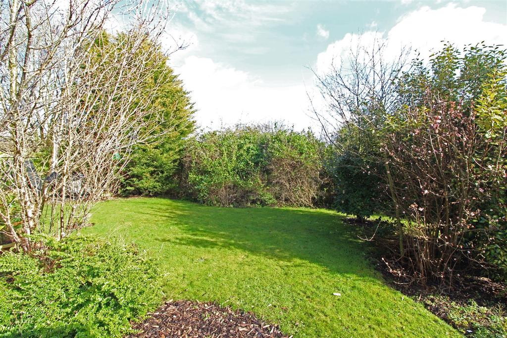 GARDEN 2.jpg