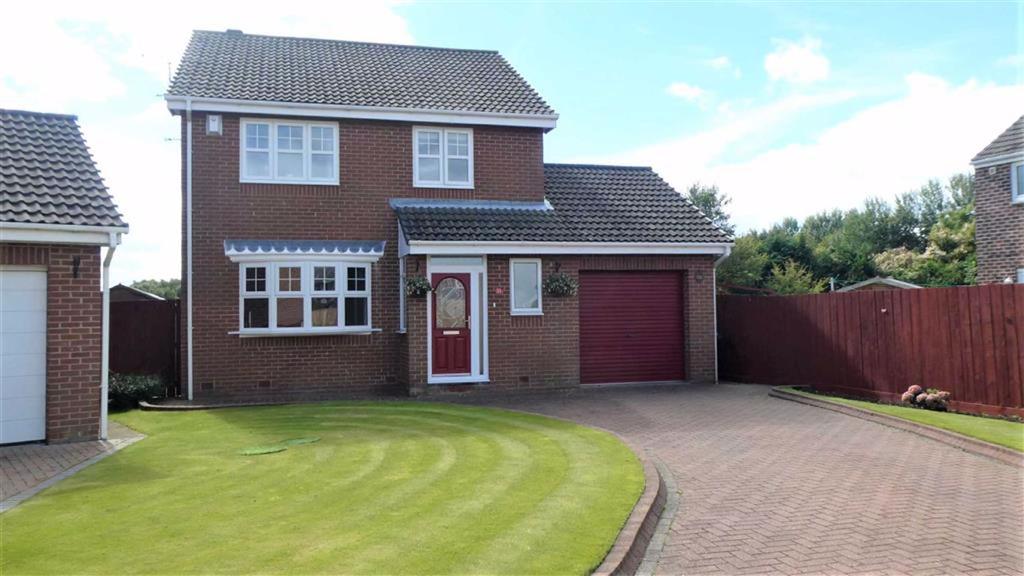 Lowry Gardens, South Shields 3 bed detached house £250,000