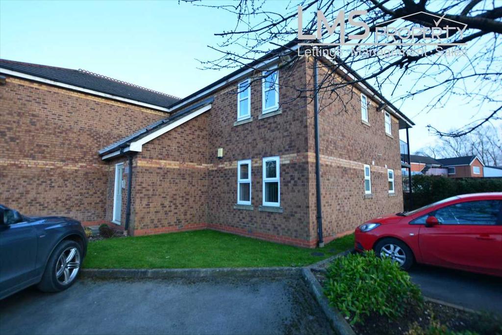 Main Picture