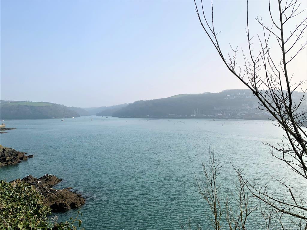 View From Garden