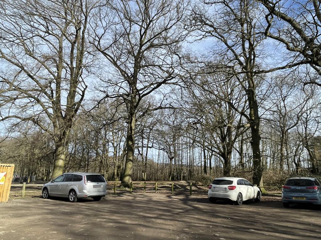 View to Land from Public Car Park adjacent to Site