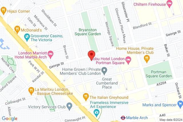 Google Maps Image