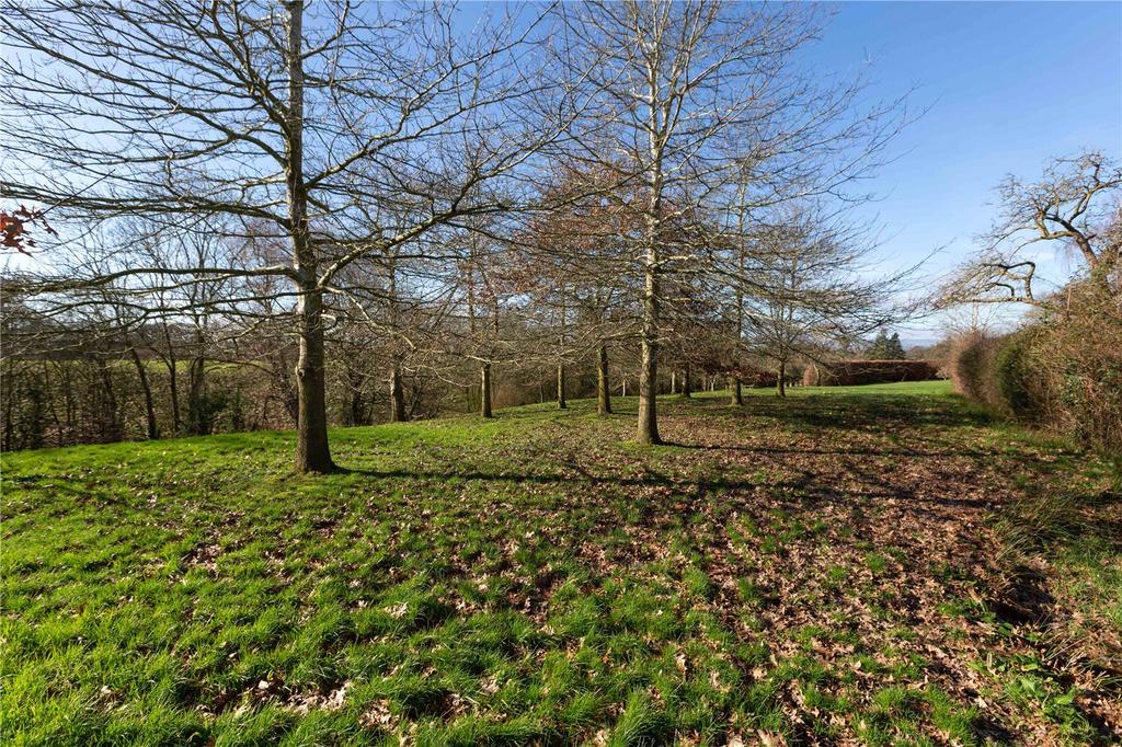 Grounds