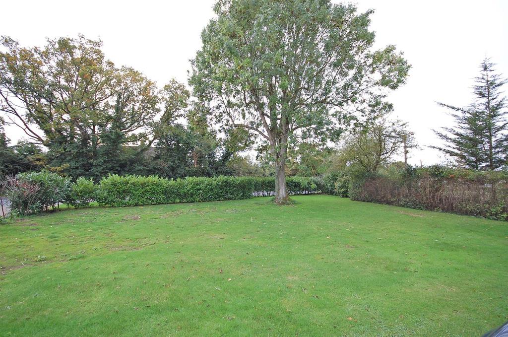 Front garden.jpg