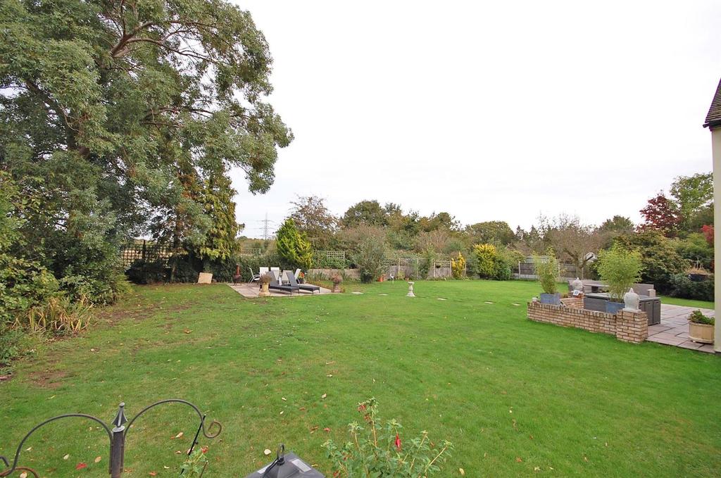 Garden.jpg