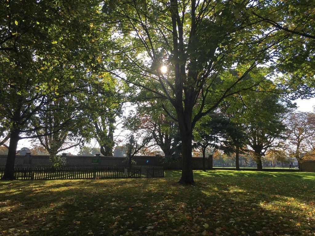 IMG 4700-1.jpeg