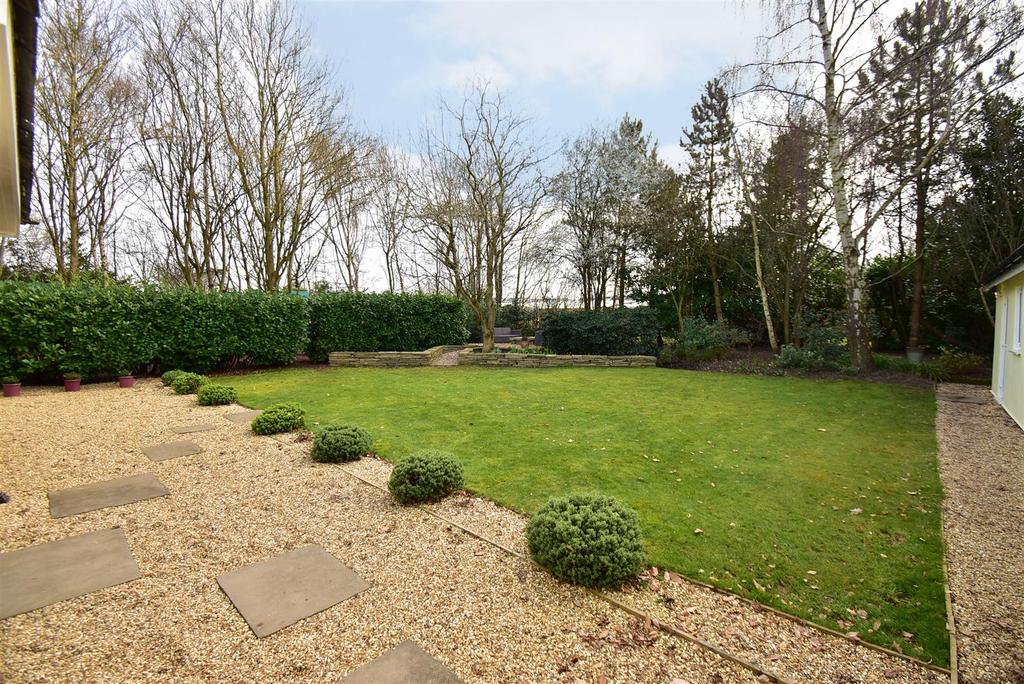 T6911 garden.jpg