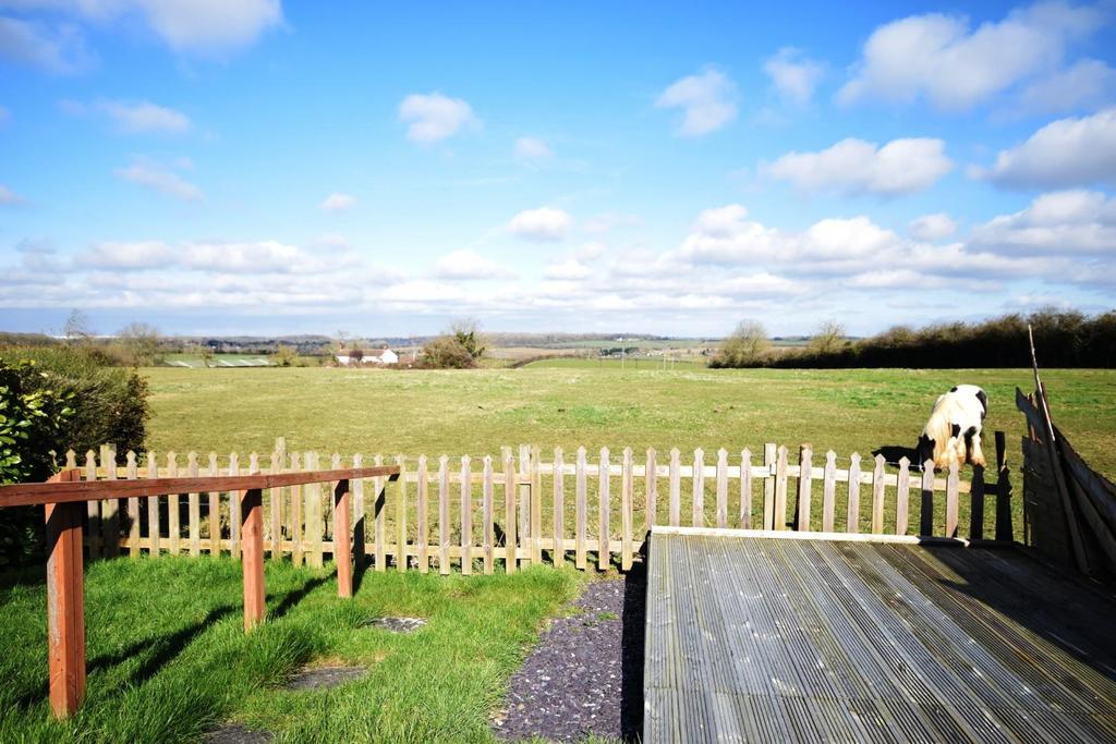 View from rear garden
