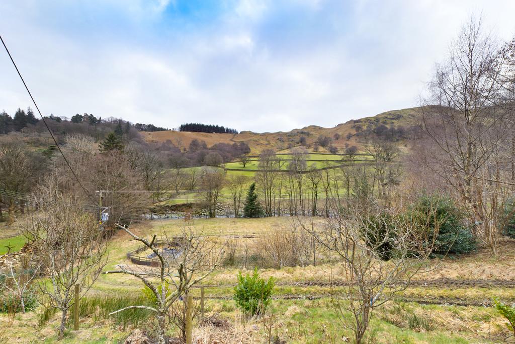 Garden and Field