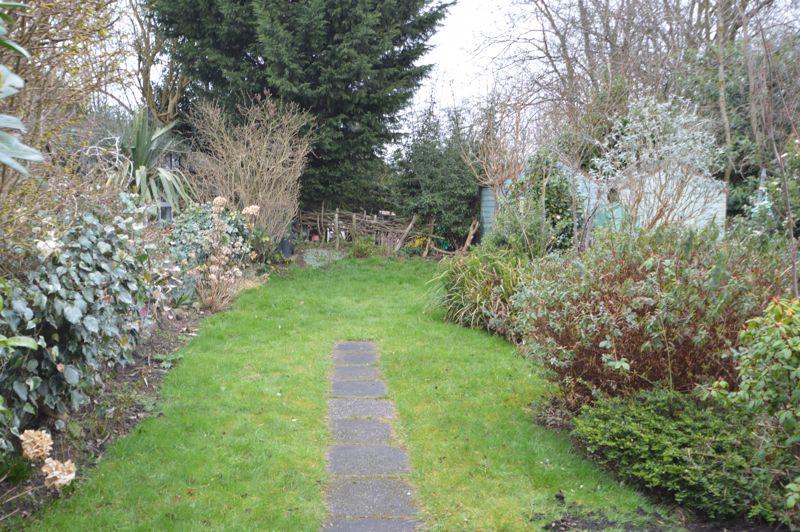 Back garden