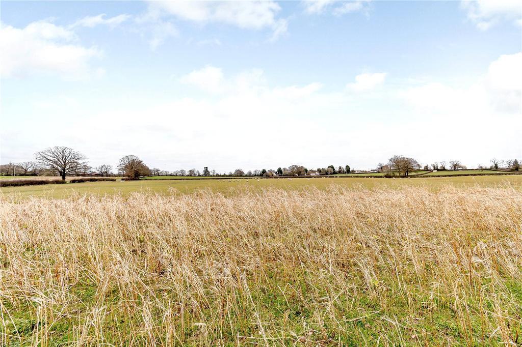 Rural Views