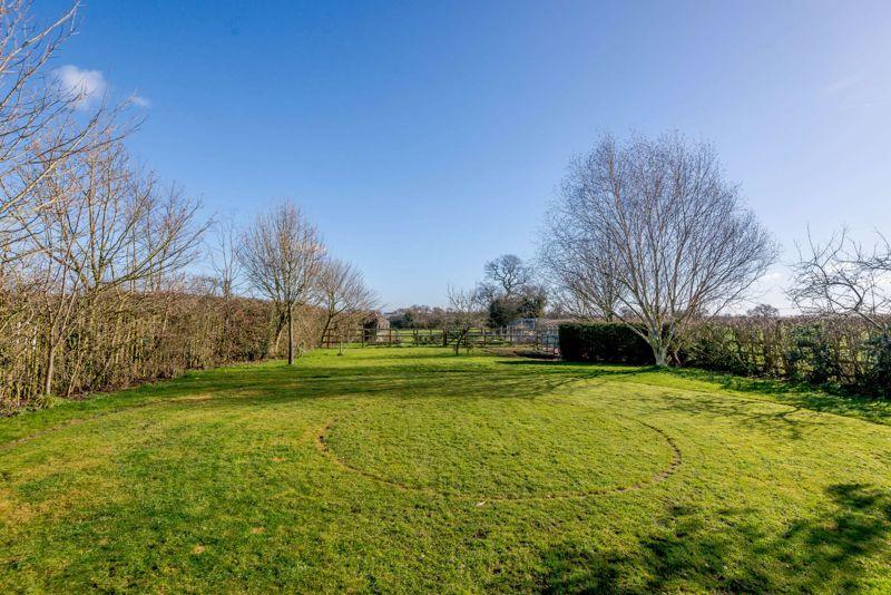 Lawn Area