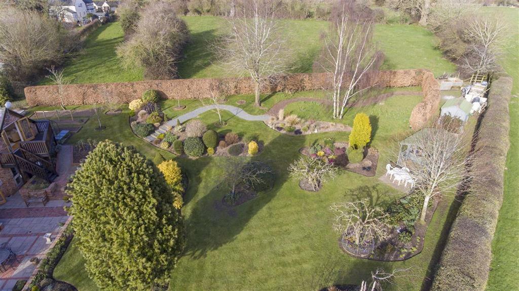 Aerial Views