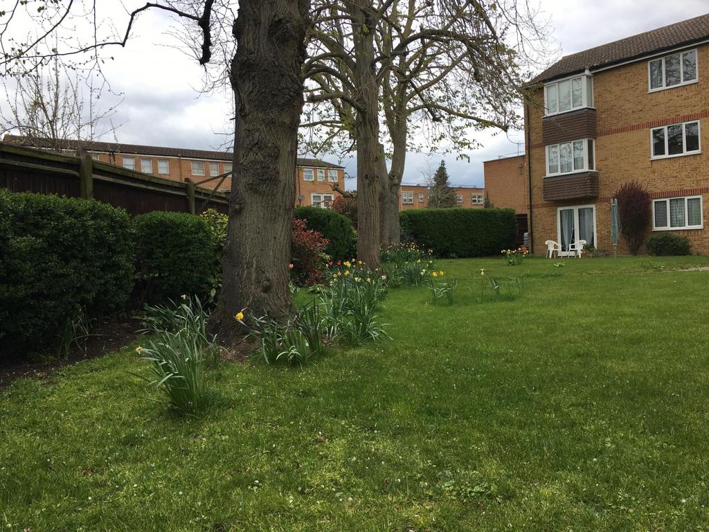 Communal Gardens