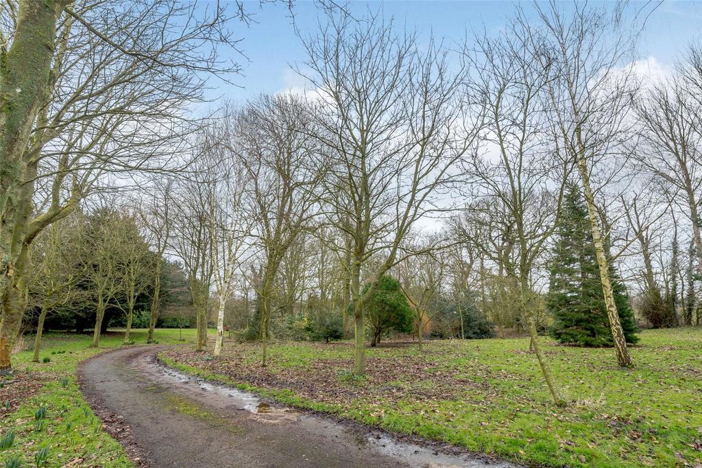 Grounds
